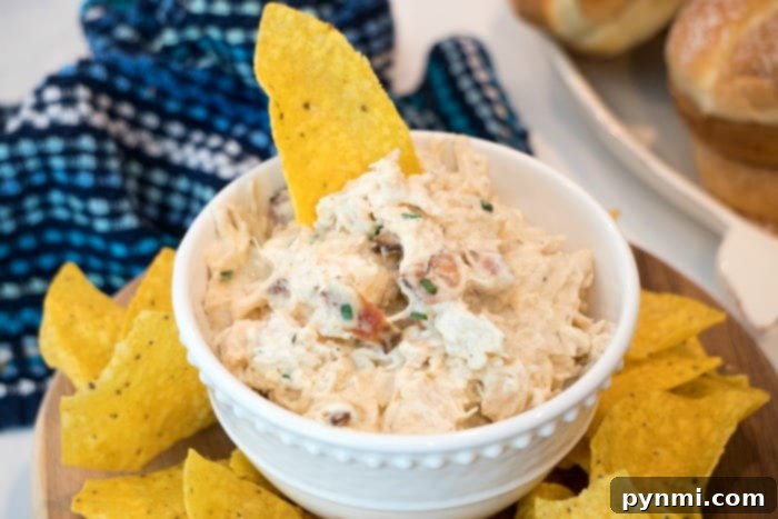 Ultimate Pressure Cooker Crack Chicken Dip 6 A beautifully presented bowl of creamy and flavorful Crack Chicken Dip, garnished with fresh chives, ready to be enjoyed with a variety of crunchy dippers, making it an ideal appetizer for any occasion.