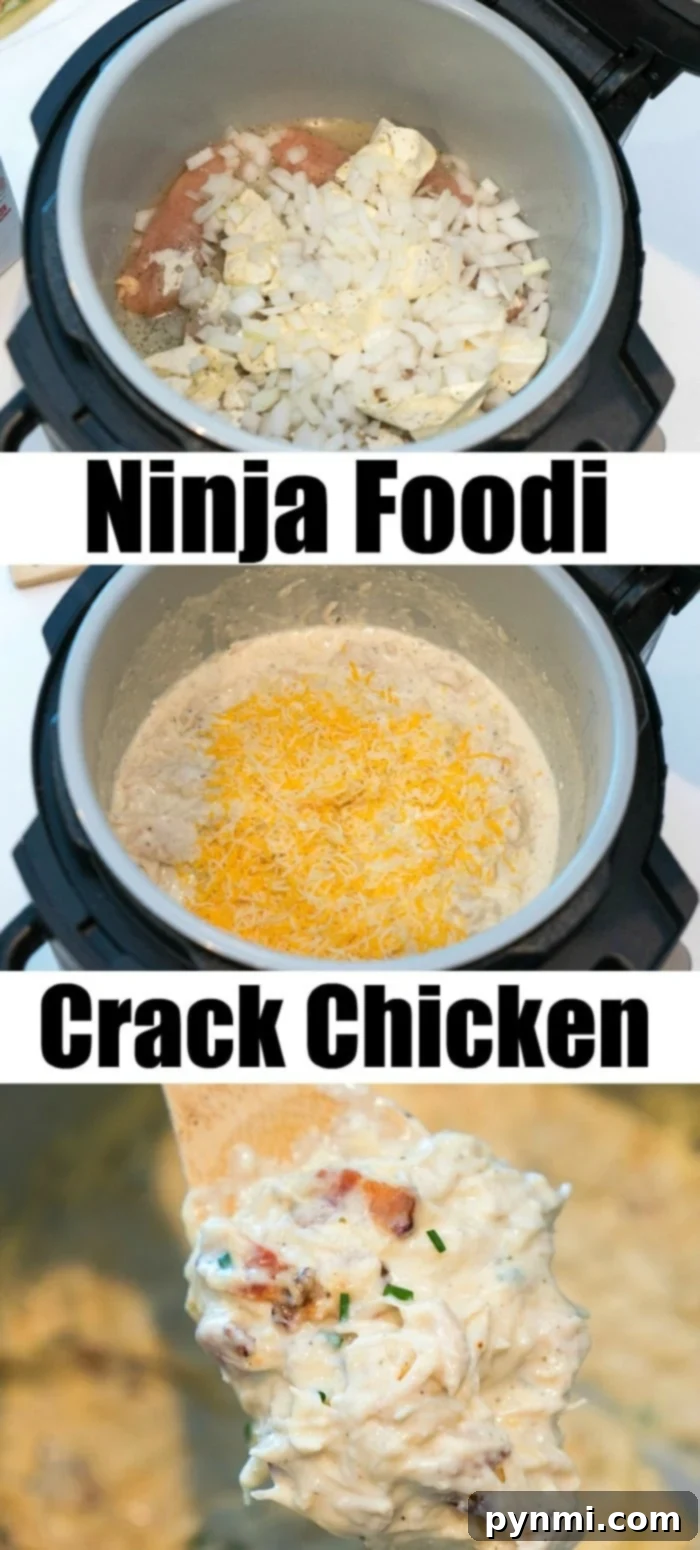 ninja foodi recipes