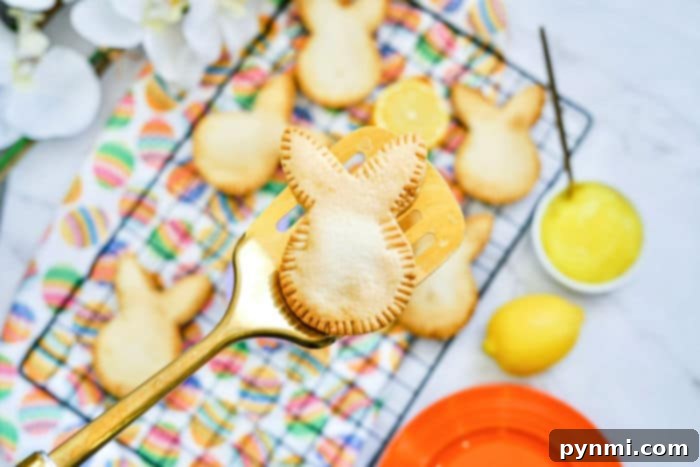 lemon hand pies - freshly baked in an air fryer, golden brown