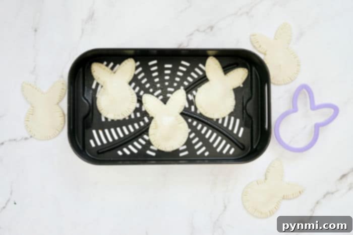 air fryer dessert - variety of air fried hand pies