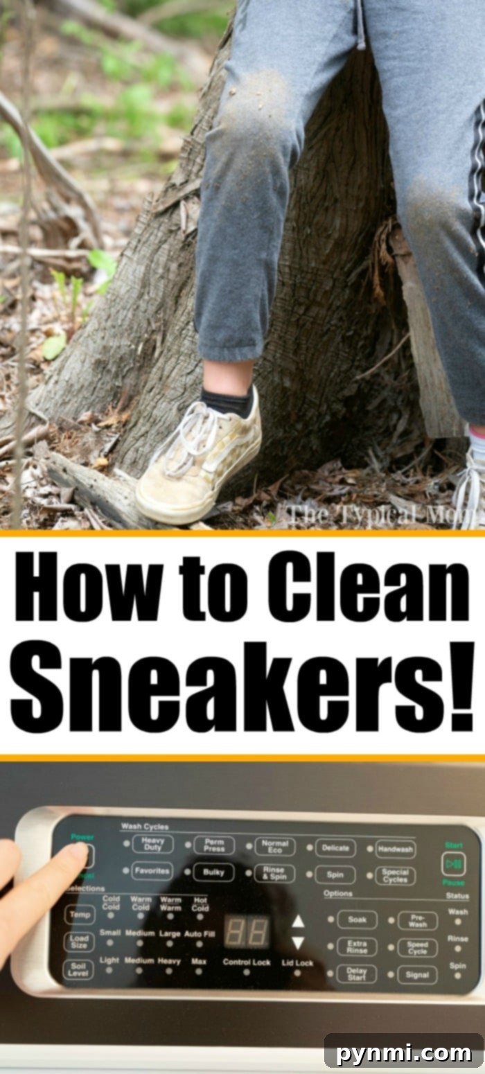 How to clean sneakers in the washing machine. #cleaning #tips #hacks how to clean tennis shoes
