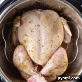Raw seasoned whole chicken in an instant pot, poised to bring the flavors of August instant pot recipes to your table.