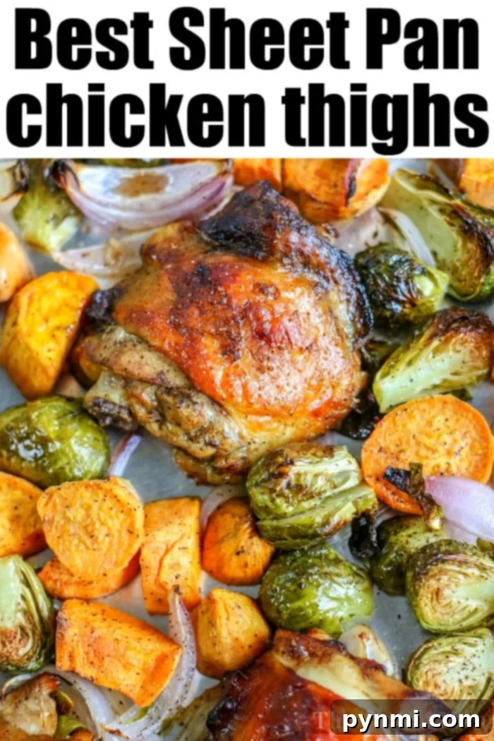Sheet pan chicken thighs and vegetables are so easy to throw together, bake, and enjoy with your family. A healthy meal with tons of flavor for the win. #chickenthighs #chickenrecipes #sheetpanrecipes #sheetpanchicken A fully prepared sheet pan chicken thighs dinner, showcasing the entire meal ready to be served.