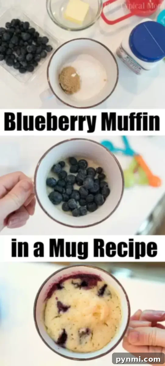 Three images illustrating a delightful blueberry muffin in a mug recipe. Top: Ingredients such as blueberries, butter, brown sugar, and flour. Middle: Blueberries blend into the flour mixture in the mug. Bottom: A cooked blueberry muffin reveals juicy berries inside the mug.