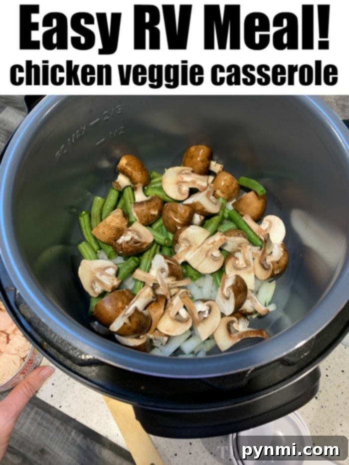 A tantalizing image of RV meals, featuring the best chicken mushroom casserole with tender chicken and crisp vegetables.