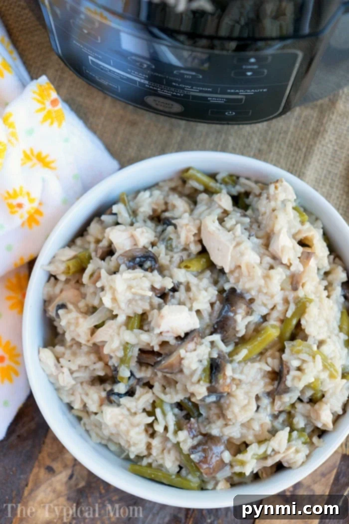 Delicious Ninja Foodi recipes, showcasing a creamy pressure cooker chicken mushroom casserole ready to eat.