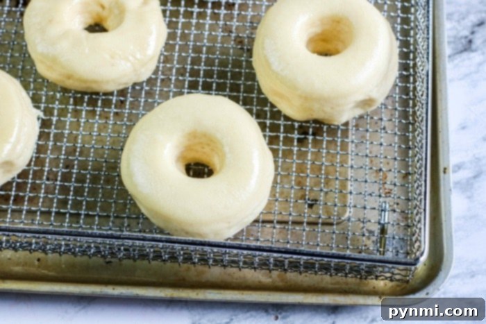 Fluffy Air Fryer Donut Bites 7 A plate full of freshly air-fried doughnuts ready to be served.
