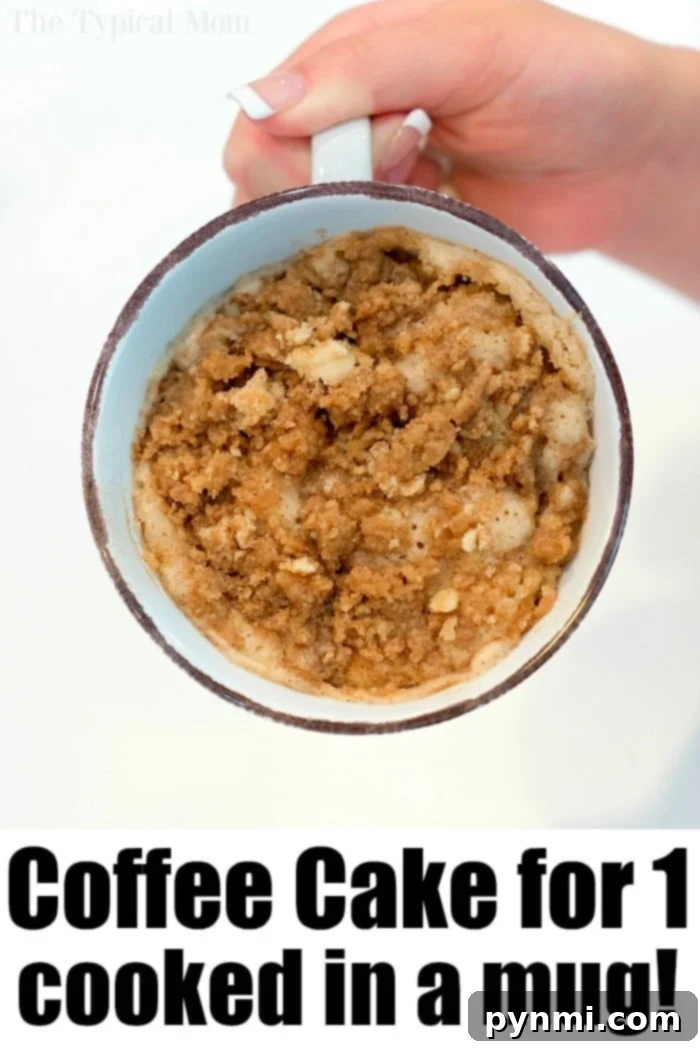 Easy Mug Cake Recipe