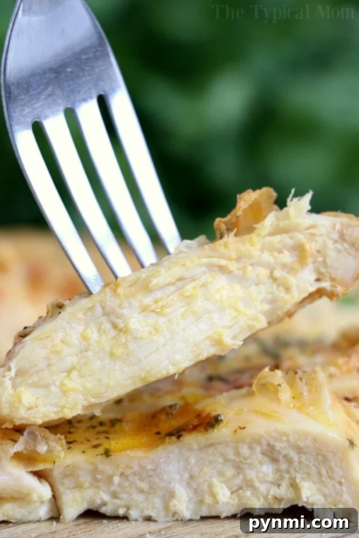 Air fryer chicken breast recipes for your Ninja Foodi or other brand! Using fresh or frozen chicken, it's easy to make dinner now! Crispy and juicy air fryer chicken breast cooked to perfection