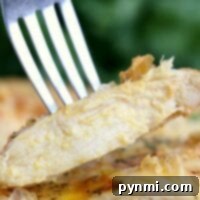 Close-up of a fork holding a slice of cooked chicken breast with herbs, perfectly crisped from using frozen chicken breast in an air fryer.