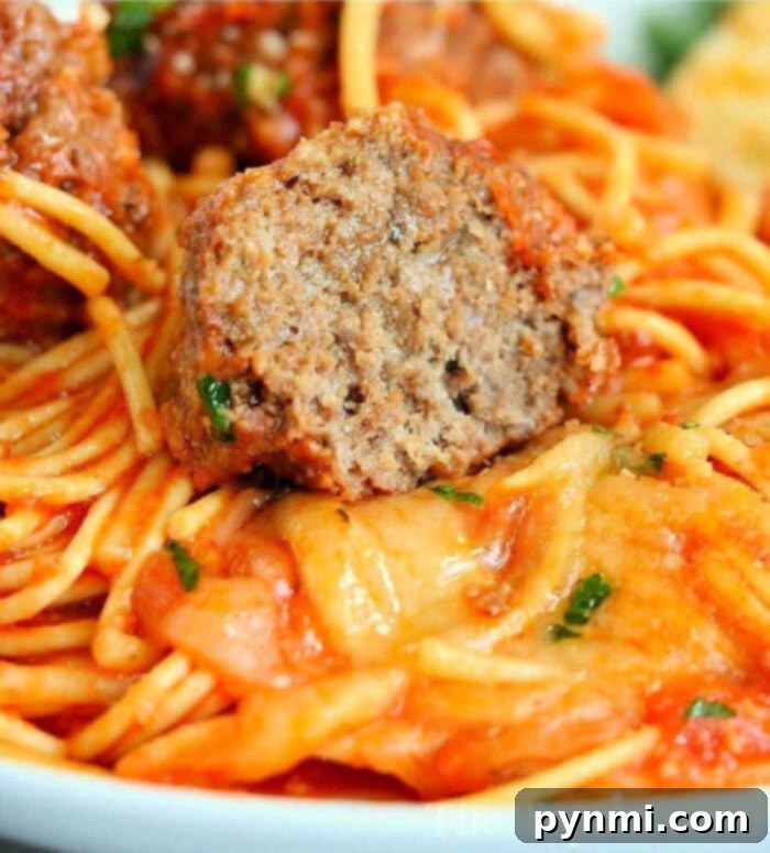Set-It-and-Forget-It Spaghetti and Meatballs 2 A close-up of crockpot spaghetti with jar sauce, topped with a sliced meatball and herbs, ready to serve.