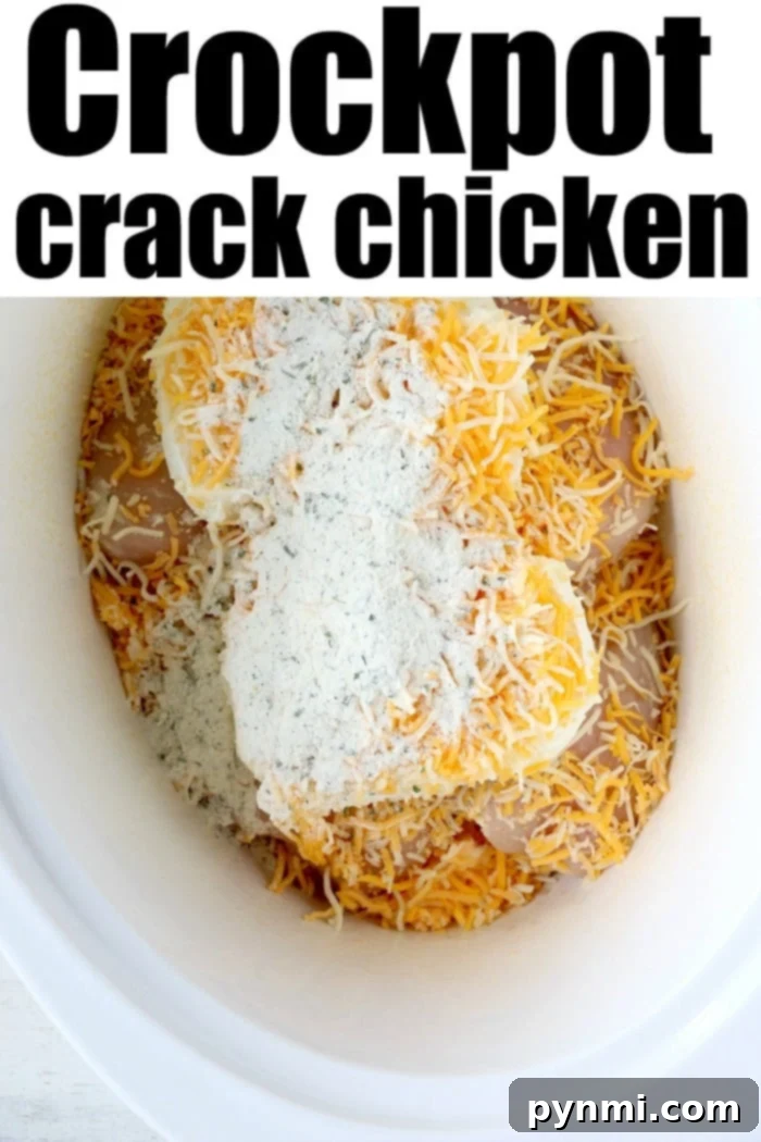 Feast for Less: Simple Slow Cooker Dishes 4 Close-up of Crack Chicken Crockpot served on a bun with melted cheese and bacon bits.