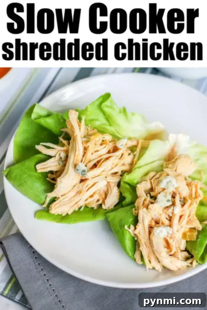 Crockpot buffalo chicken lettuce wraps! Make low carb wrapped in lettuce or on small buns as an appetizer or tasty main dinner. Slow Cookers rock. #crockpot #crockpotrecipes #crockpotchickenrecipes #buffalochicken #lettucewraps #spicychicken #slowcookerchicken #buffalochickensliders A hand reaching for a delicious Crockpot buffalo chicken lettuce wrap, emphasizing the ease and appeal of this low-carb option.
