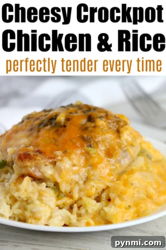 Comforting Crockpot Cheesy Chicken and Rice crockpot cheesy chicken and rice