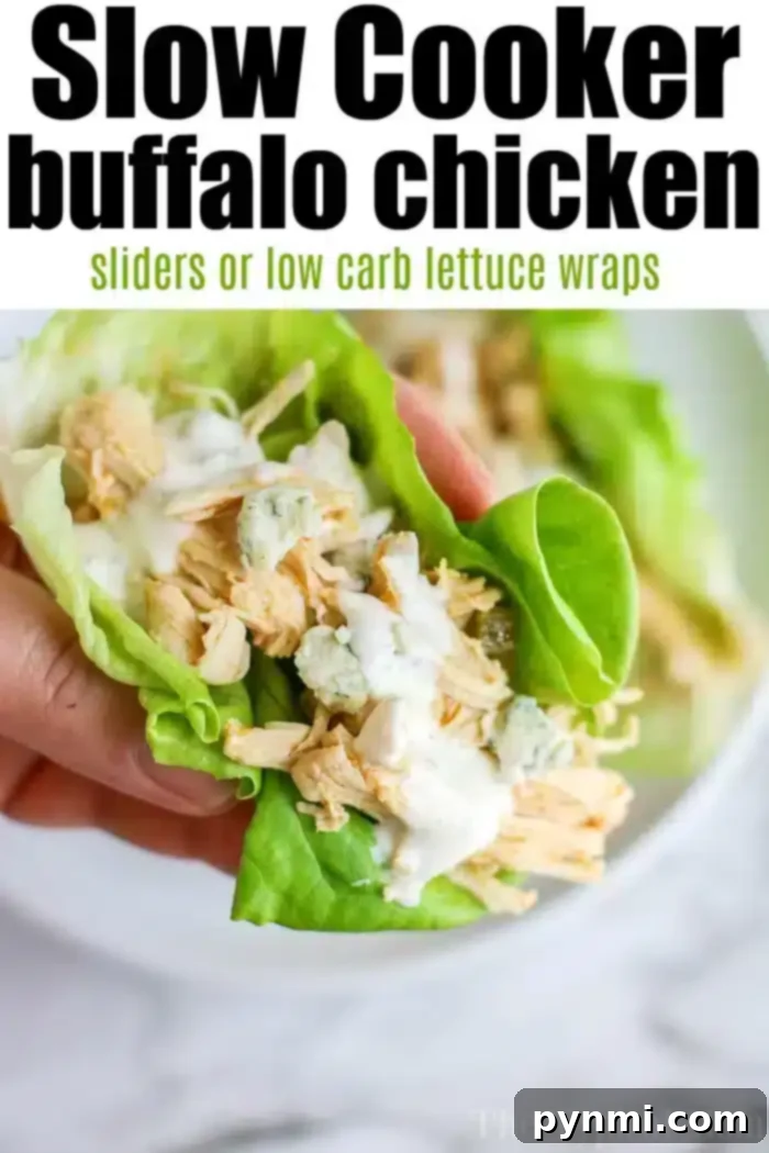 Versatile Slow Cooker Chicken Thighs Recipes for Chicken in the Crockpot