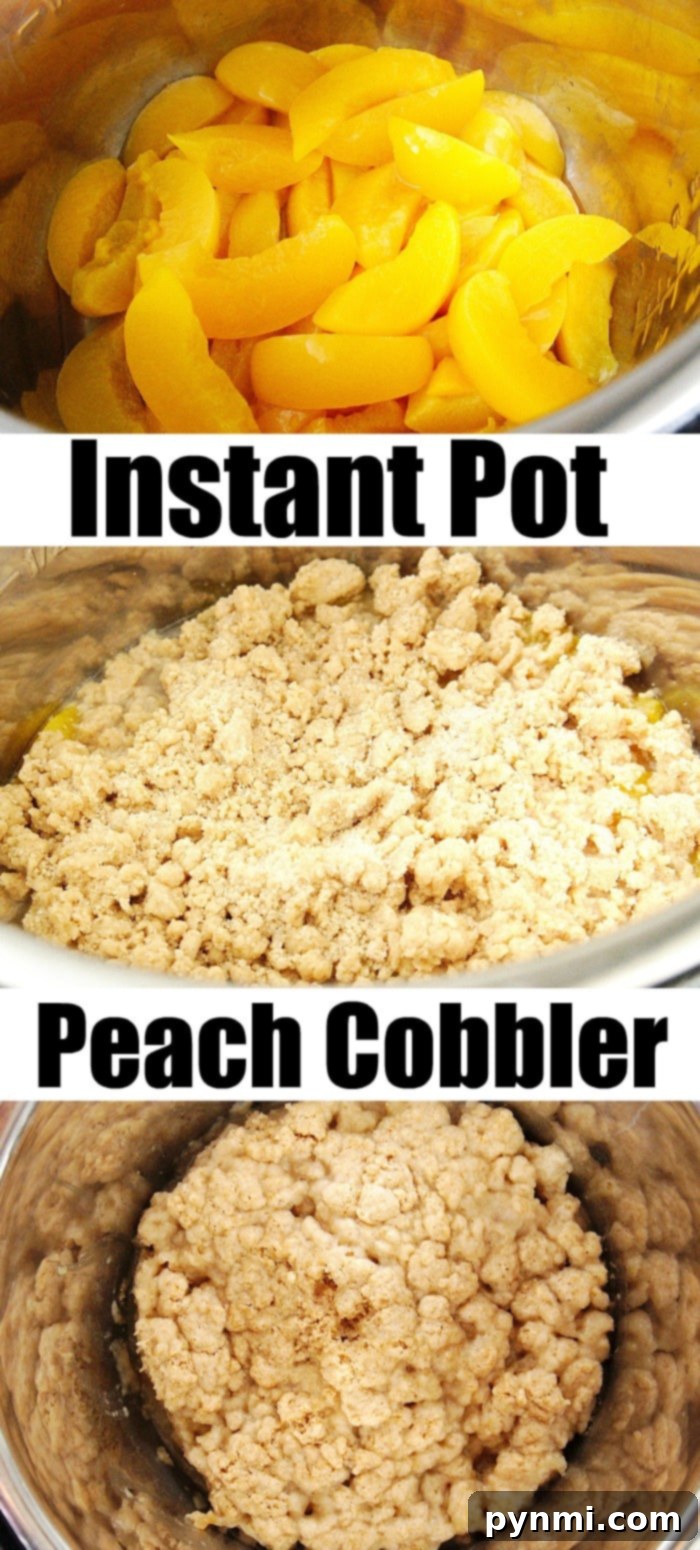 Instant Pot peach cobbler you can make in your pressure cooker in no time. The perfect fruit dessert with a crumble topping you've got to try tonight! Instant Pot peach cobbler served in a bowl, ready to eat.