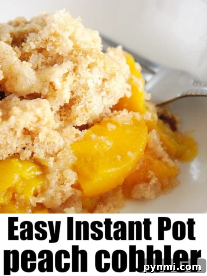 pressure cooker peach cobbler - A warm Instant Pot peach cobbler, bubbling with fruit and a golden topping, ready to serve.