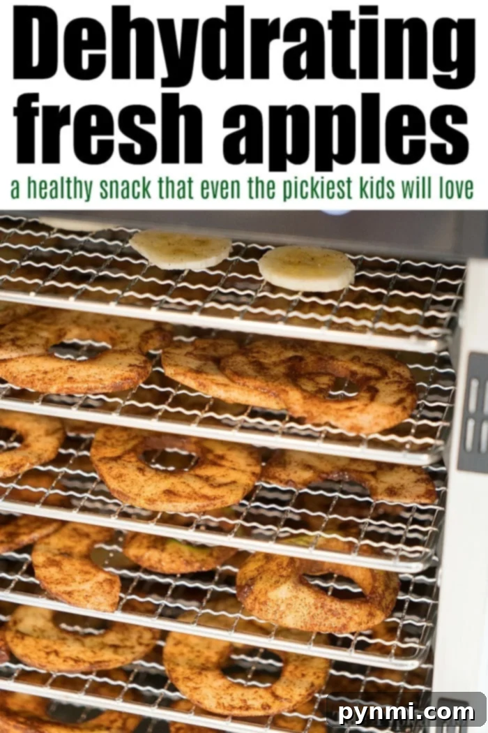 How to Dehydrate Apples with Cinnamon and Sugar