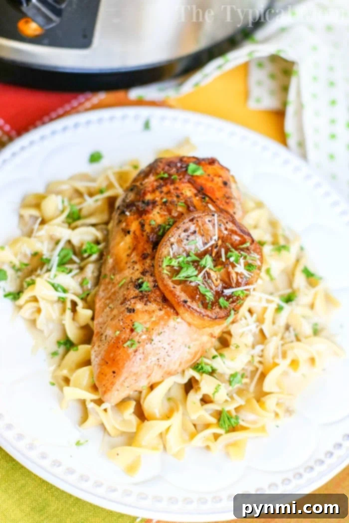 Slow Cooker Lemon Pepper Chicken recipe served with a side of rice.