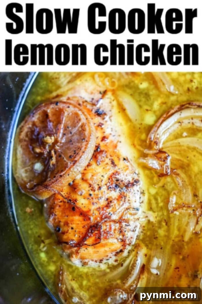 A close-up of a dish titled "Crockpot Lemon Pepper Chicken" shows a seasoned chicken breast topped with lemon slices, submerged in a broth with sliced onions. The chicken appears to be perfectly cooked and is peppered for extra flavor.
