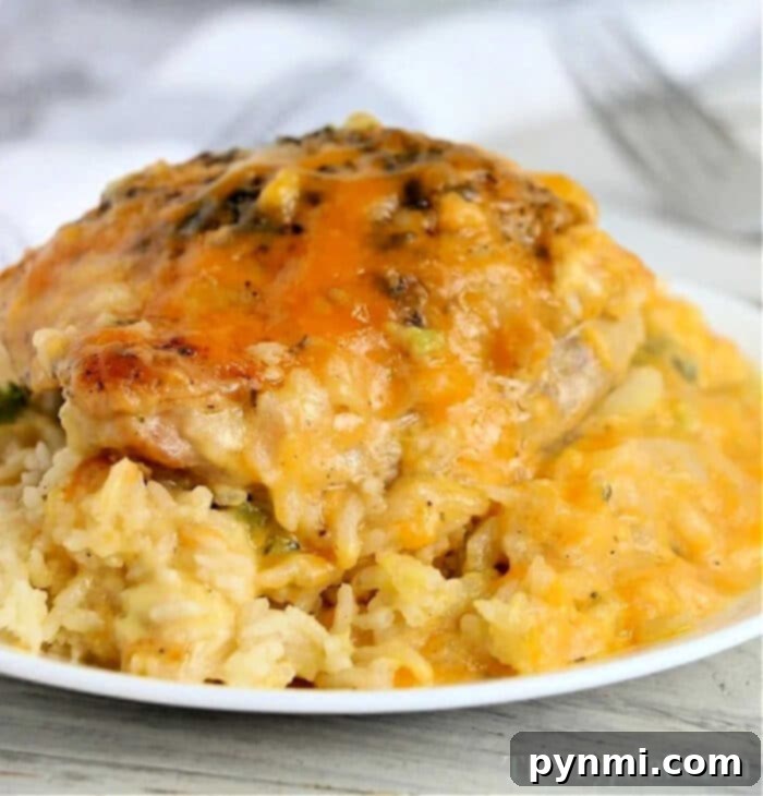 Crockpot cheesy chicken and rice on a white plate, topped with melted cheese and herbs.