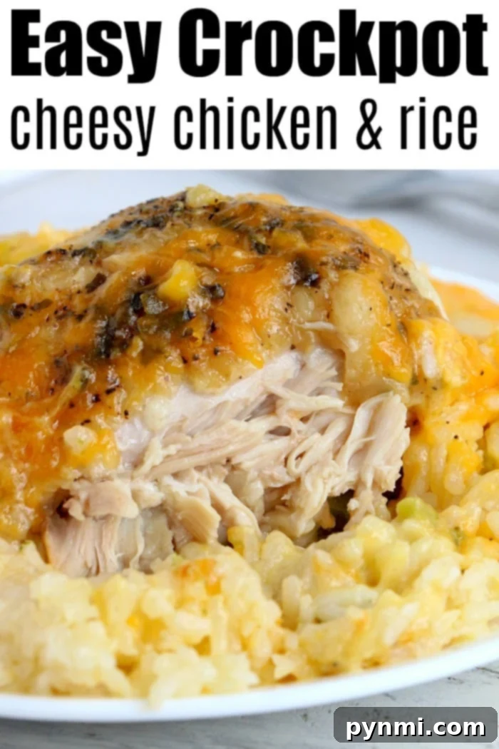 crockpot chicken rice