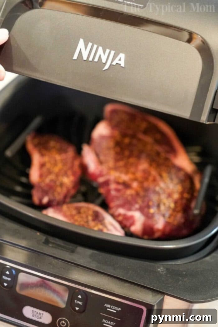 Ninja Foodi Grill showcasing its compact design and powerful capabilities for indoor cooking.