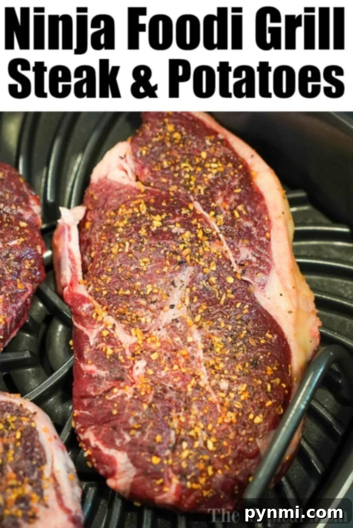 Ninja Foodi Grill review highlighting its performance with steak and potatoes.