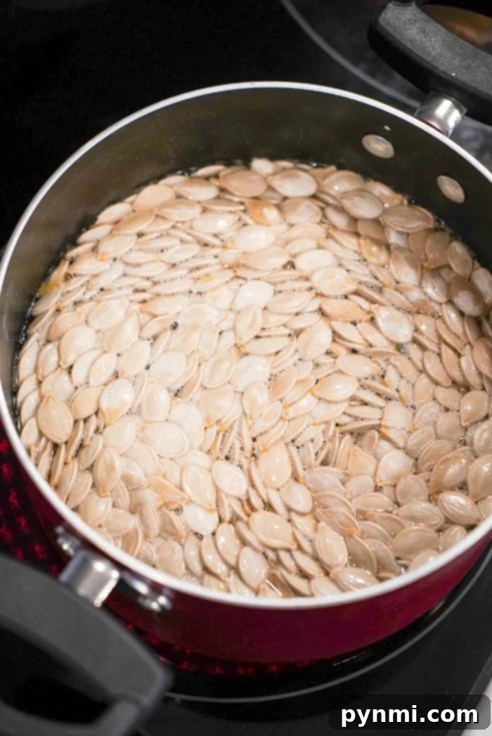 Perfectly Roasted Pumpkin Seeds 4 Pumpkin seeds being boiled in a pot of salted water on a stovetop, an important step for easy digestion and even roasting.