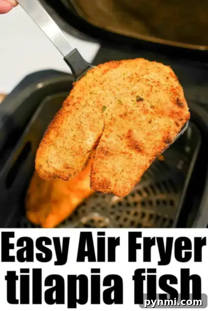 Air fryer tilapia is easy to make! Using fresh, frozen, or previously frozen fillets you can make tasty fish that's crunchy on the outside and flaky within. #airfryer #airfryerfish #airfryerrecipes #ninjafoodi #ninjafoodirecipes #tilapia #airfryertilapia A piece of breaded tilapia fish is held above an air fryer basket by a spatula, showcasing the deliciousness of air fryer tilapia.