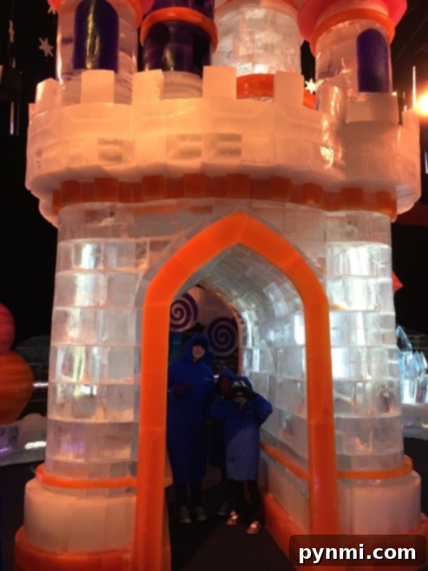 Exciting slides and attractions at Queen Mary CHILL Long Beach.