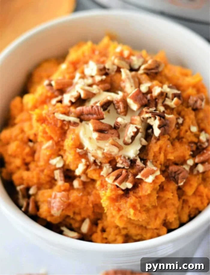 Creamy mashed sweet potatoes, garnished with chopped pecans and a melting pat of butter in a white bowl, showcasing an easy air fryer recipe.