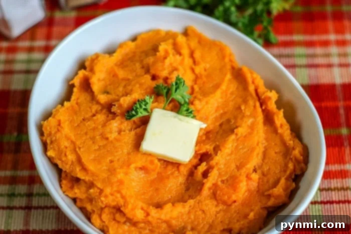 A bowl of sweet potato mash, freshly prepared and garnished.