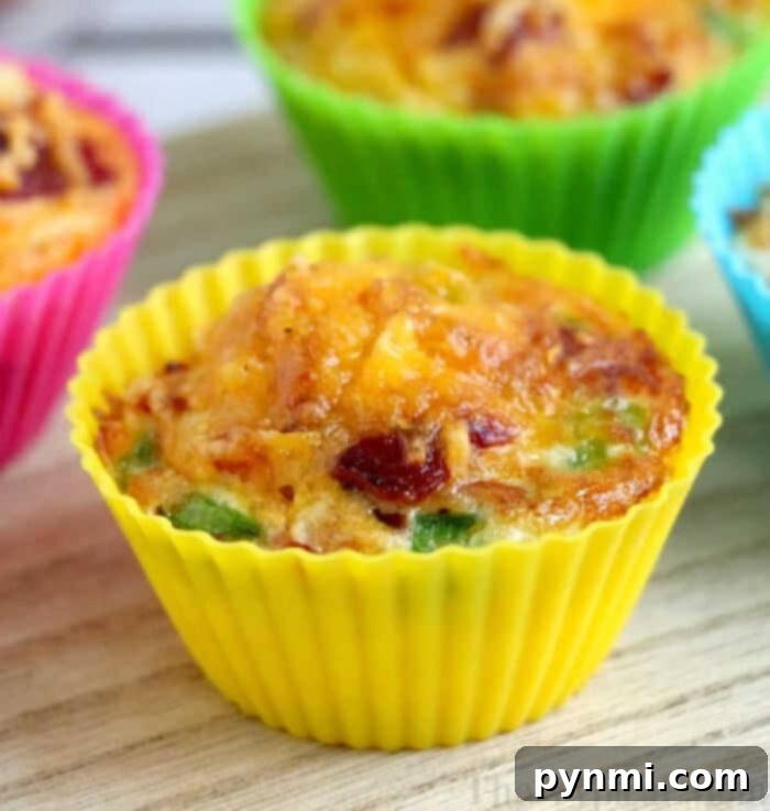 Crispy Air Fryer Egg Bites with Bacon, Cheese, and Onions