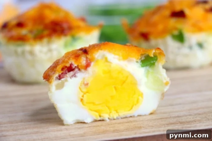 A selection of delicious air fryer egg bite recipes