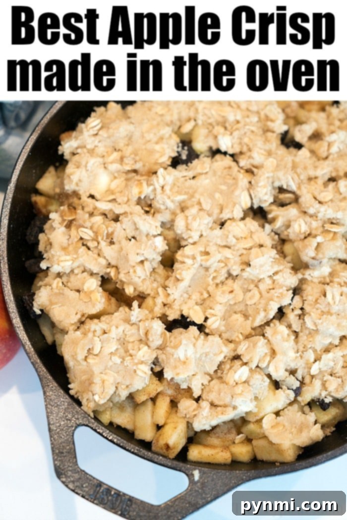 Skillet-Baked Apple Crisp with Toasted Oats 6 cast iron recipes