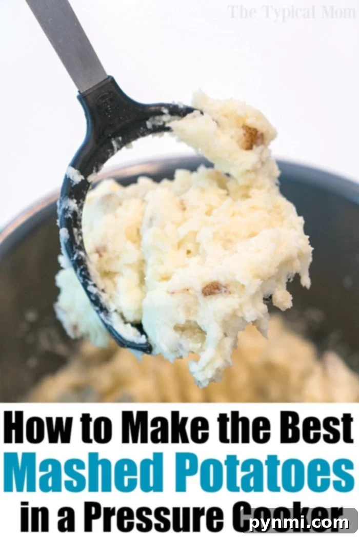 Perfect Frozen Pork Loin in the Instant Pot 6 pressure cooker mashed potatoes