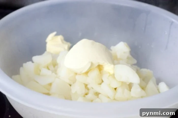 mashed potatoes