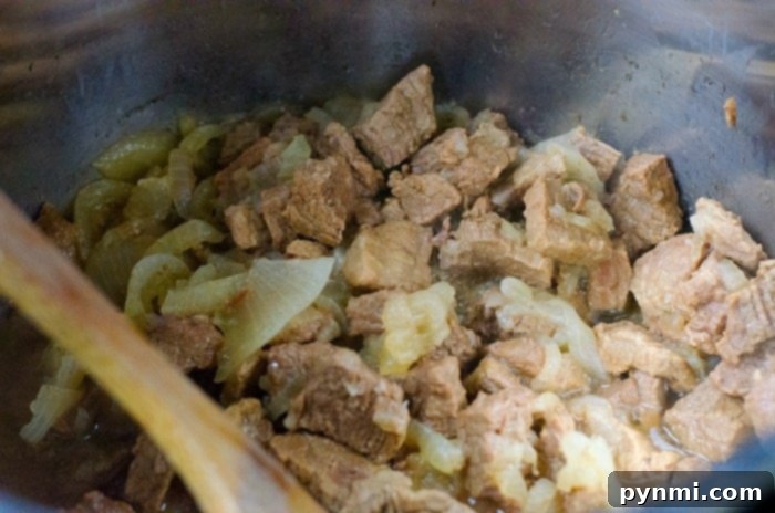 Chunks of beef and onions simmering in a pot, gently stirred with a wooden spoon, create the perfect Ninja Foodi stew.