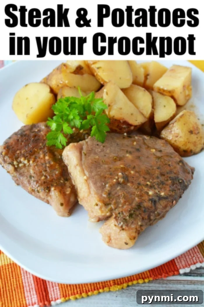 sirloin steak recipe crockpot