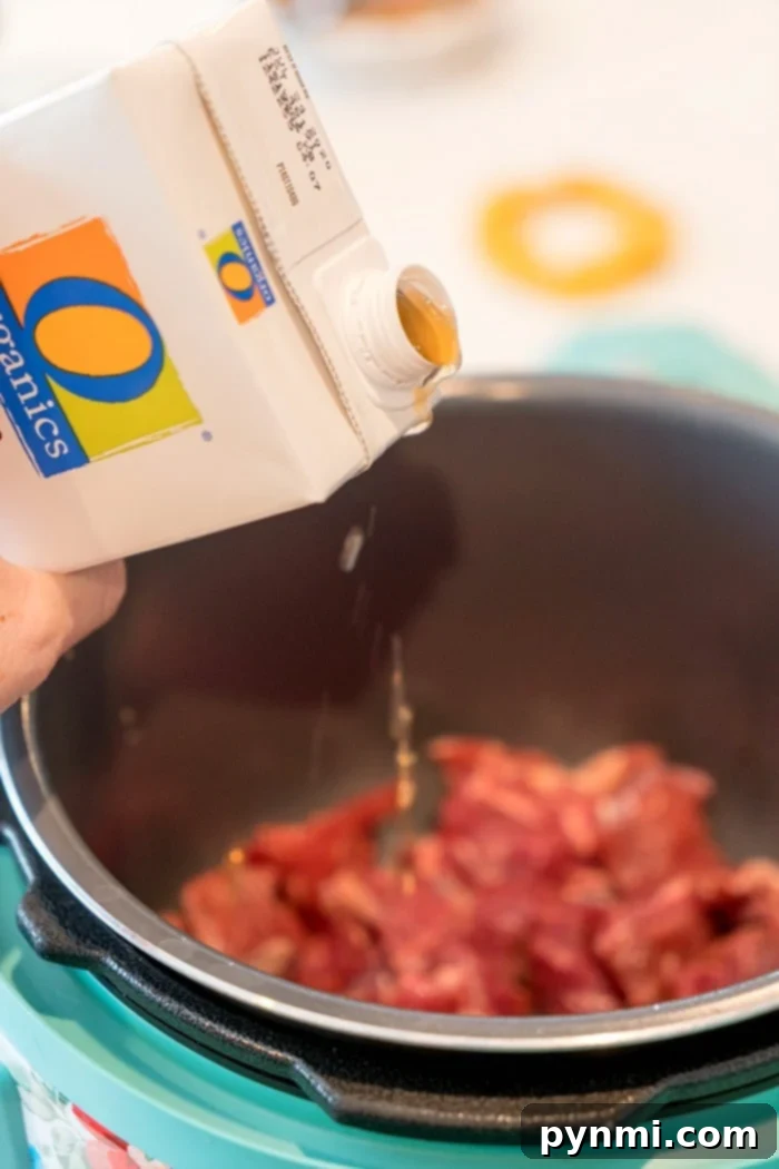 Serving of Instant Pot beef and rice casserole in a bowl