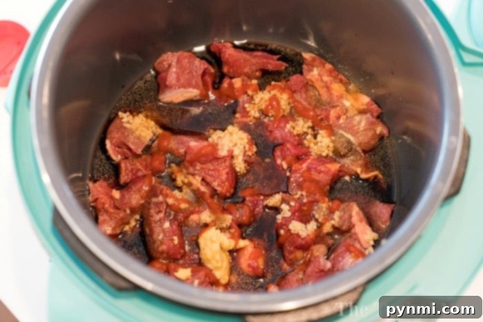 Instant Pot beef stew with carrots and potatoes