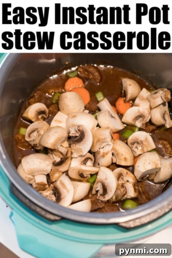 Close-up of Instant Pot beef stew casserole with rice, beef, and carrots