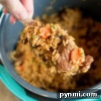 A hand holds a spoonful of hearty beef stew over an instant pot filled with a delicious casserole of cooked rice, tender beef, and vibrant vegetables. The dish features chunks of beef and carrots, elegantly garnished with fresh green herbs.