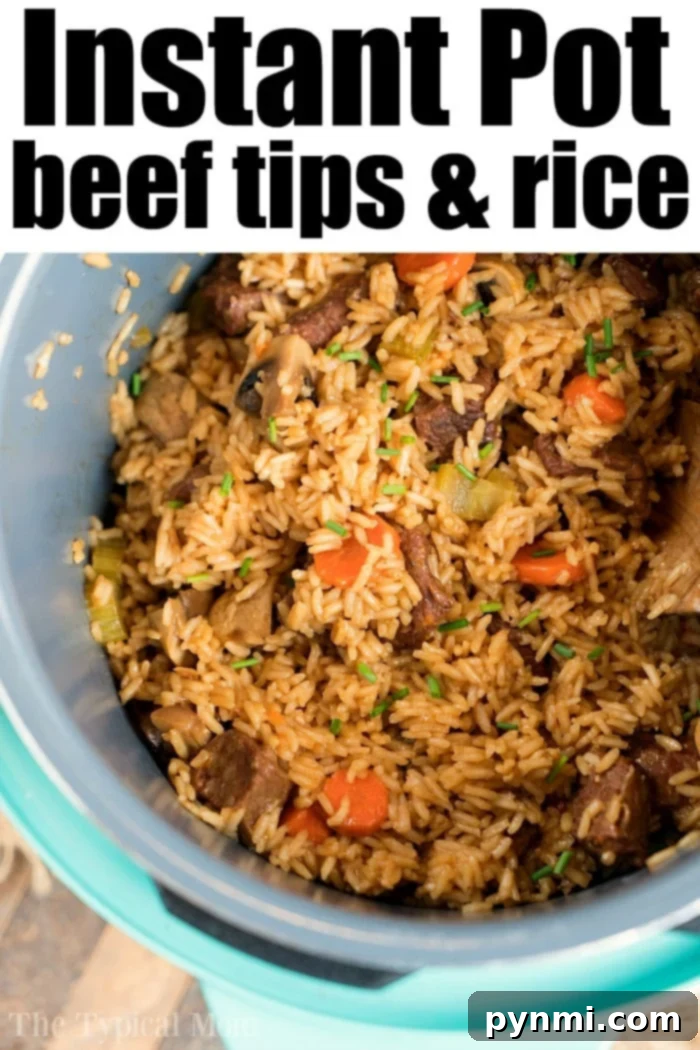 Large portion of Instant Pot beef and rice casserole in a bowl, garnished with herbs