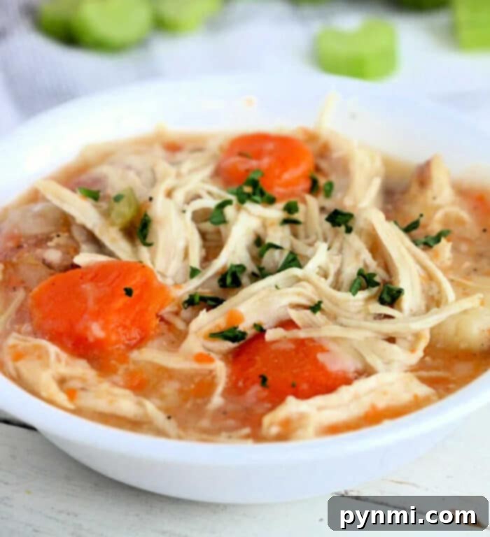 Creamy Instant Pot chicken stew with chunks of chicken and vegetables in a bowl.