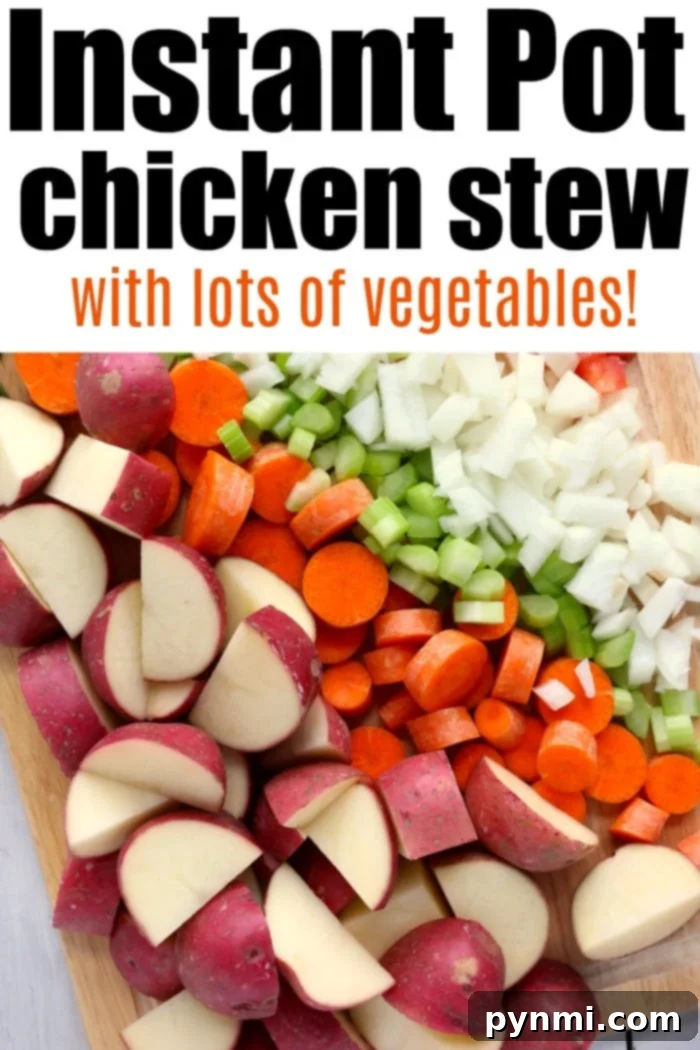 Hearty Instant Pot chicken stew with vegetables and tender chicken, served in a bowl.