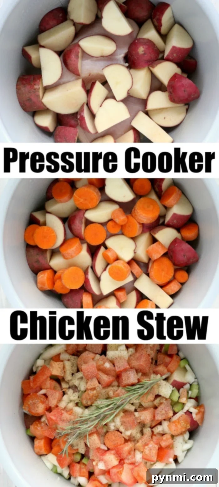 Delicious pressure cooker chicken stew with a spoon, highlighting the rich broth and vegetables.