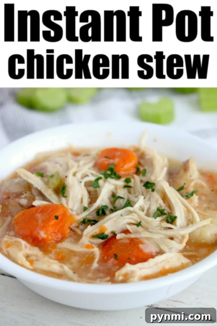 A bowl of Instant Pot chicken stew with fresh herbs and a spoon, ready to eat.