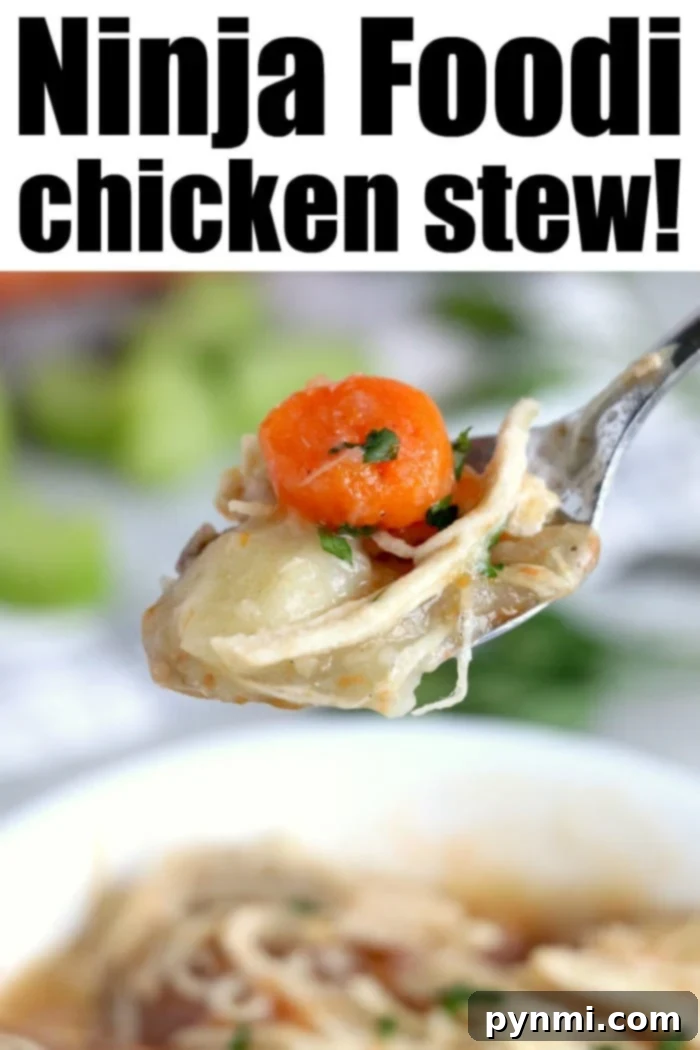 Close-up of creamy chicken stew with carrots and herbs, specifically highlighting its suitability for Ninja Foodi.